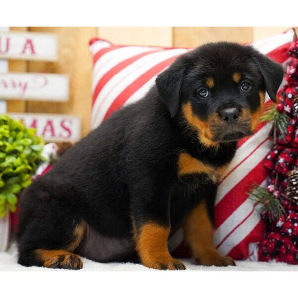 photo_2025-11-25_14-59-55 Mathis