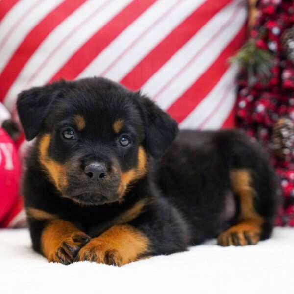 photo_2025-11-25_15-05-06 Luke