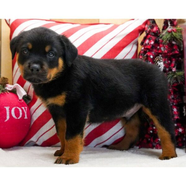 photo_2025-11-25_15-05-08 Luke