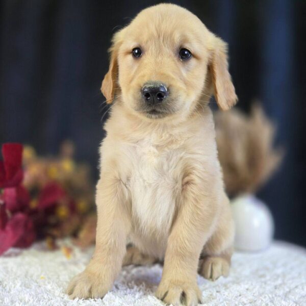 photo_2025-11-25_16-20-00 Josef