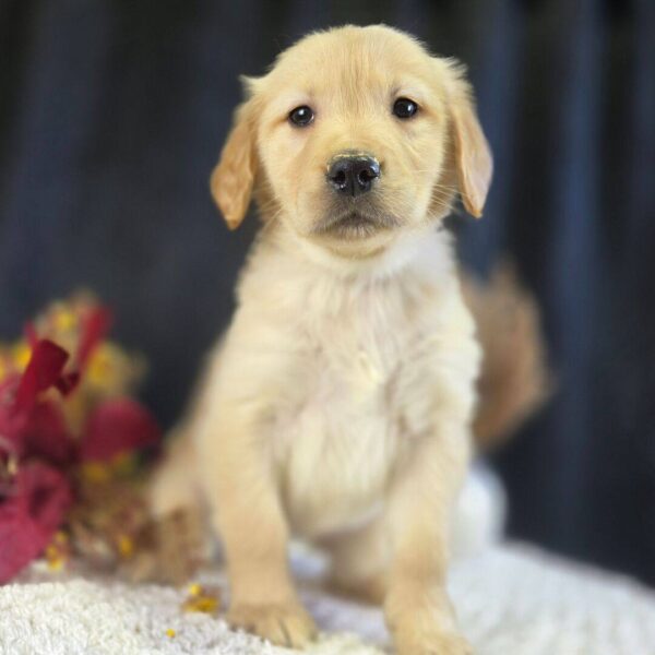 photo_2025-11-25_16-28-56 Jill