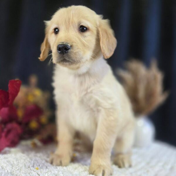 photo_2025-11-25_16-29-08 Jill