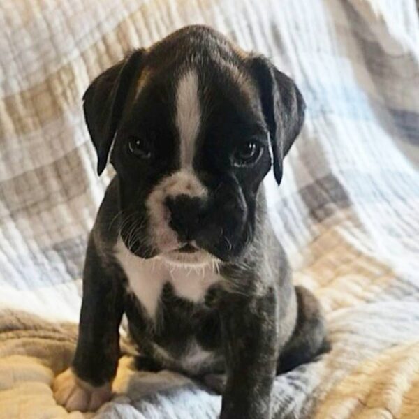 photo_2025-11-26_02-09-30 - Copy Frosty