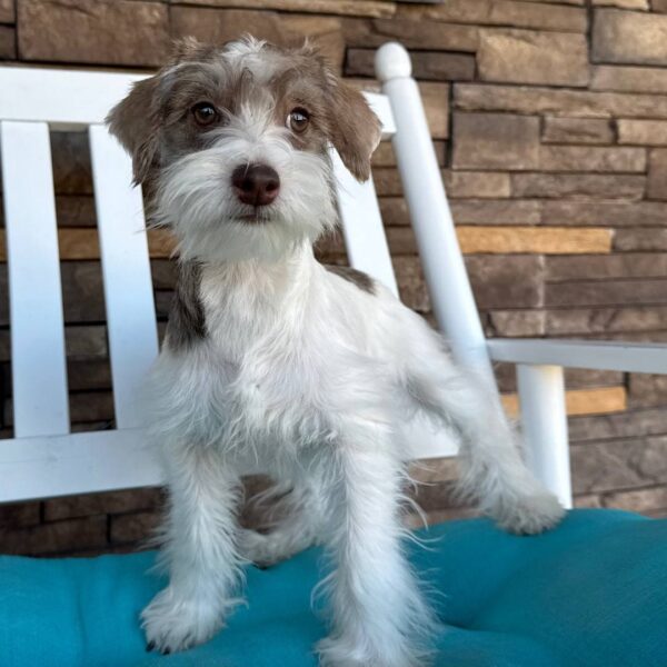 photo_2025-11-26_03-26-07 Jade