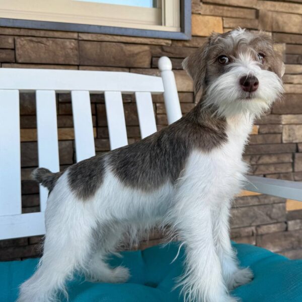 photo_2025-11-26_03-26-10 Jade