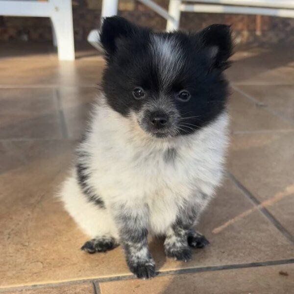 photo_2025-11-28_16-41-22 Bella