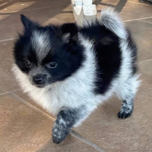 photo_2025-11-28_16-41-26 Bella